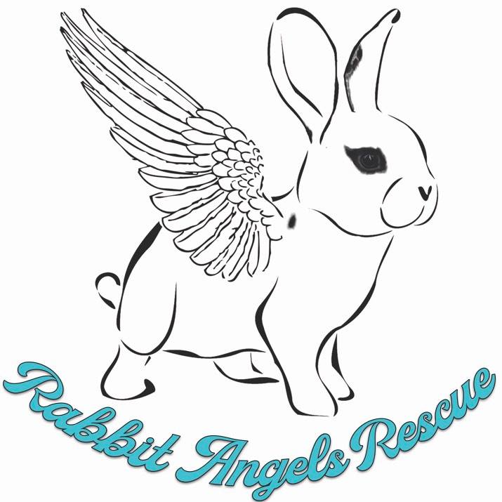bunny with angel wings
