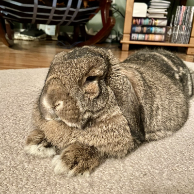 MR.
