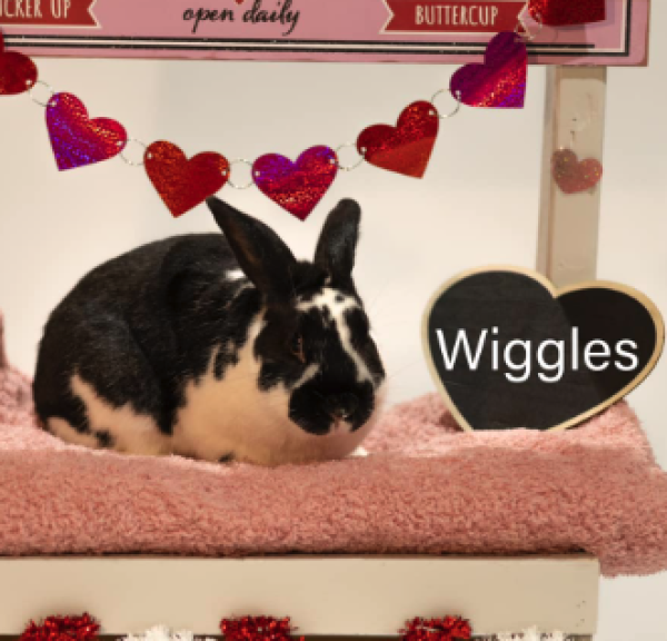 Wiggles